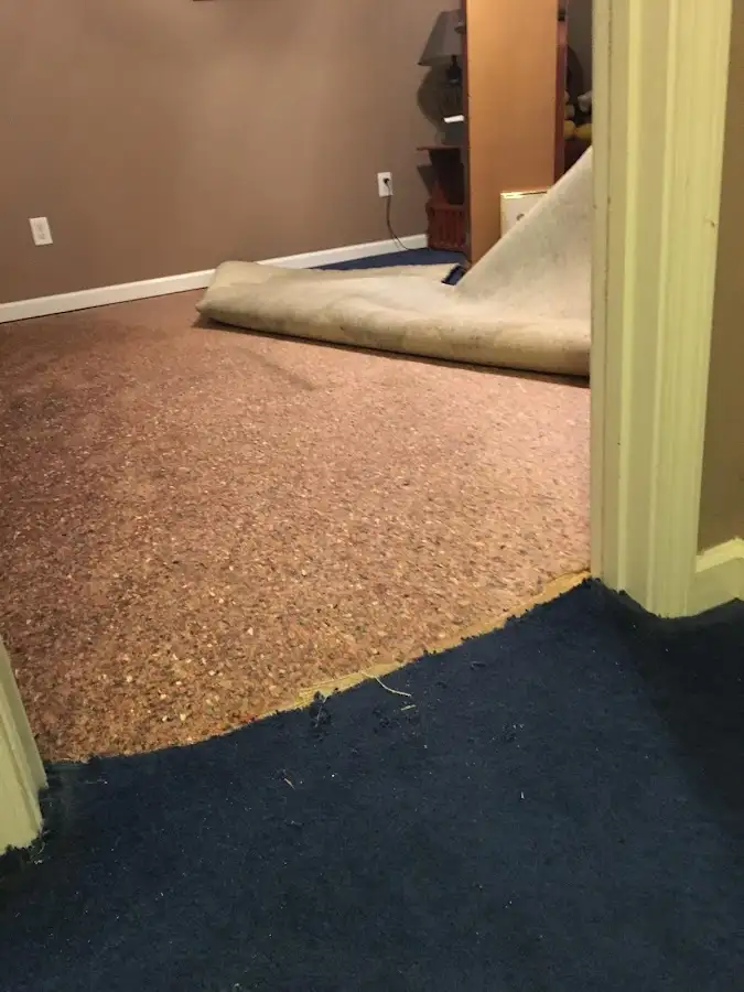Carpet pad removal revealing water damage during Water Mitigation Services in Butte-Silver Bow