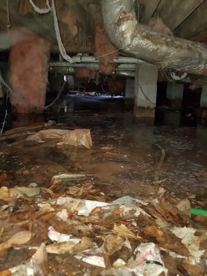 Crawl space flood assessment for Commercial Water Damage Restoration in Butte-Silver Bow